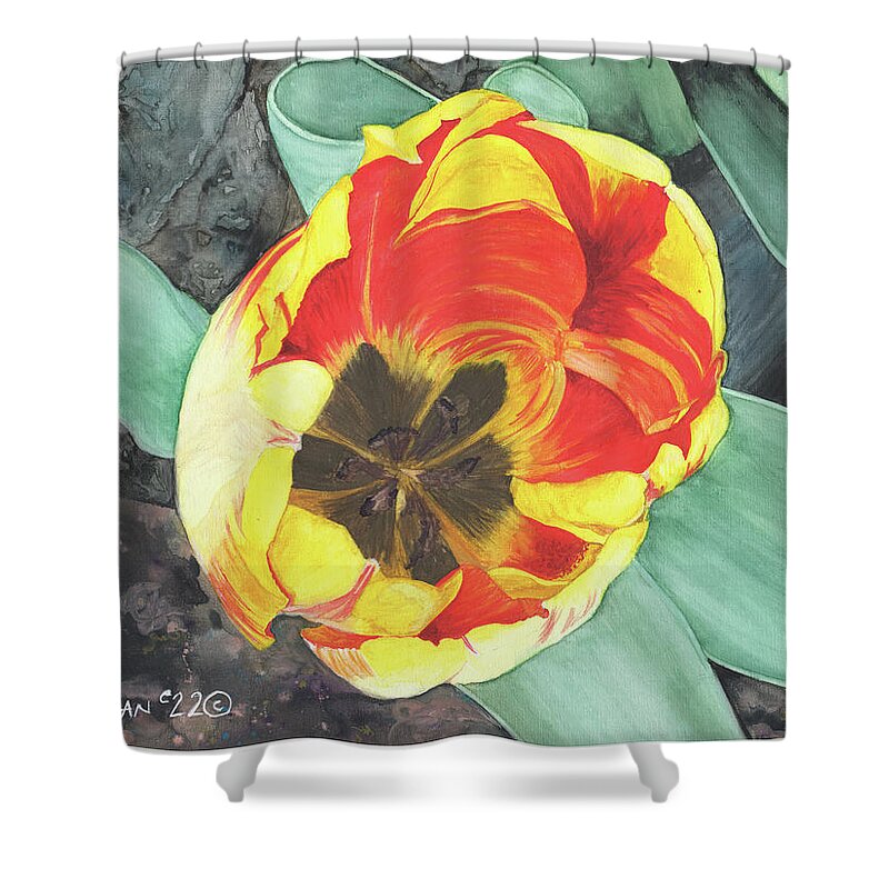 Watercolor Shower Curtain featuring the painting Tulip Heart by Heather E Harman