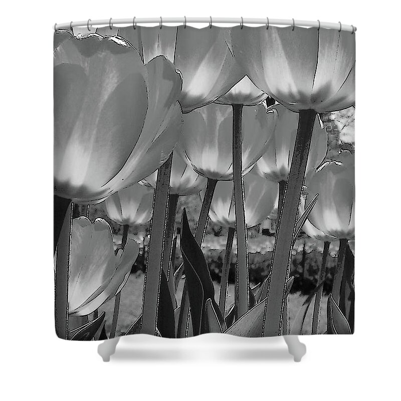 Flowers Shower Curtain featuring the photograph Tulips by John Schneider