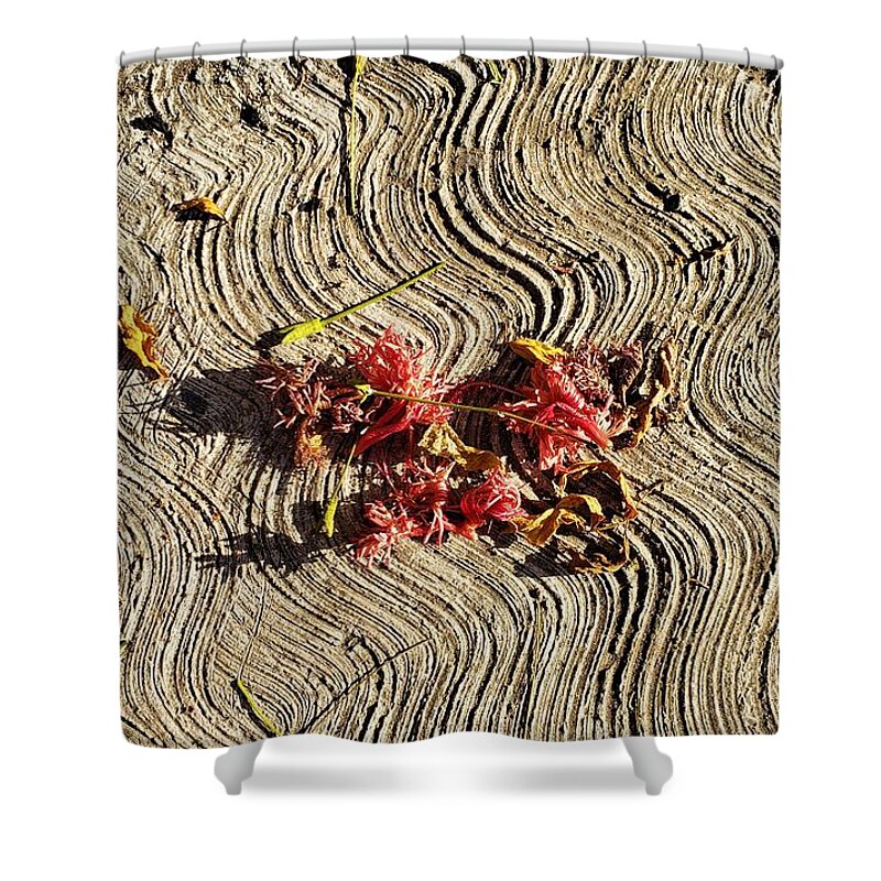 African Tulips Shower Curtain featuring the photograph Tulips On A Textured Street by Rosanne Licciardi