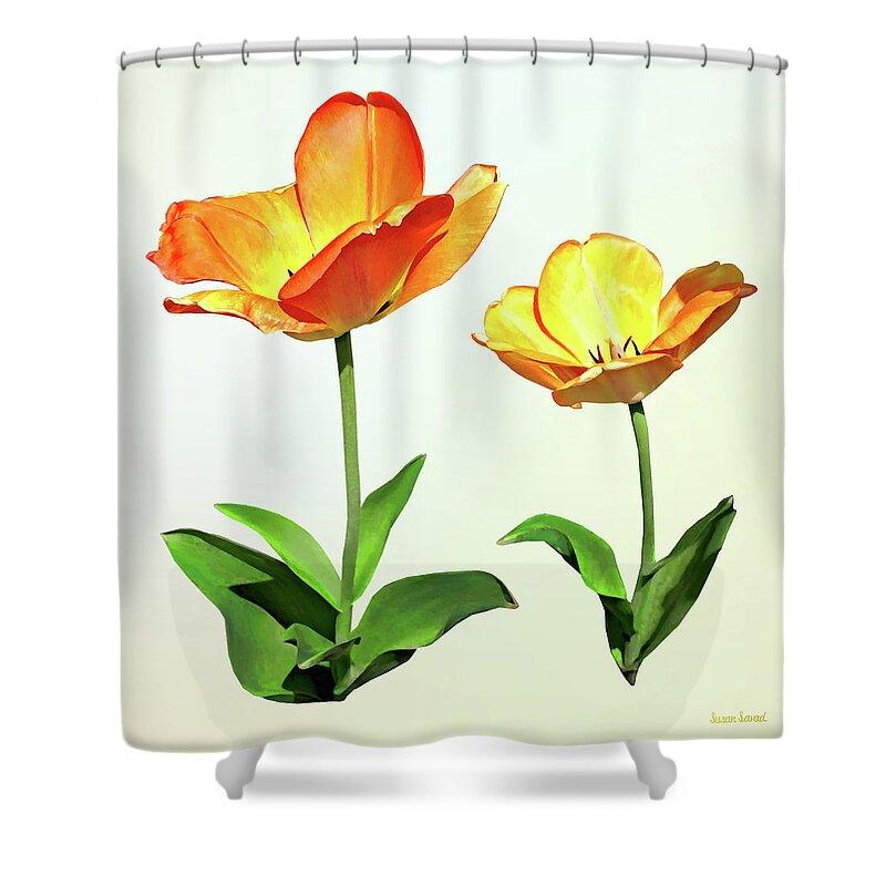 Tulip Shower Curtain featuring the photograph Tulips Tall and Short by Susan Savad