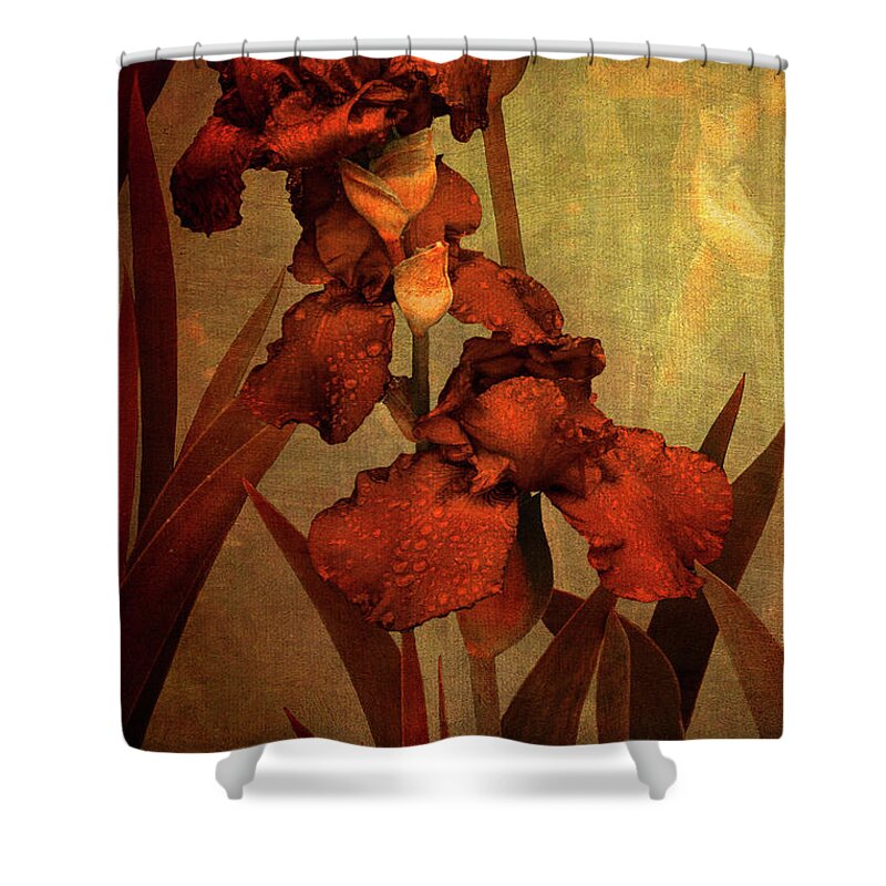 Gold Shower Curtain featuring the photograph Turn Carefully Facing Southeast by Cynthia Dickinson