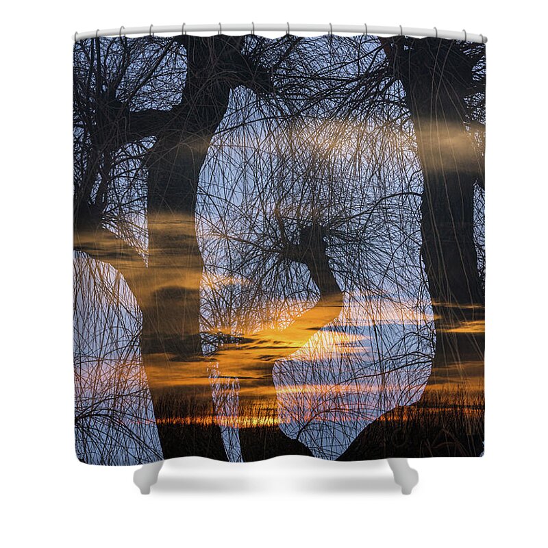 Netherlands Shower Curtain featuring the photograph Twilight zone in the magic forest by Casper Cammeraat