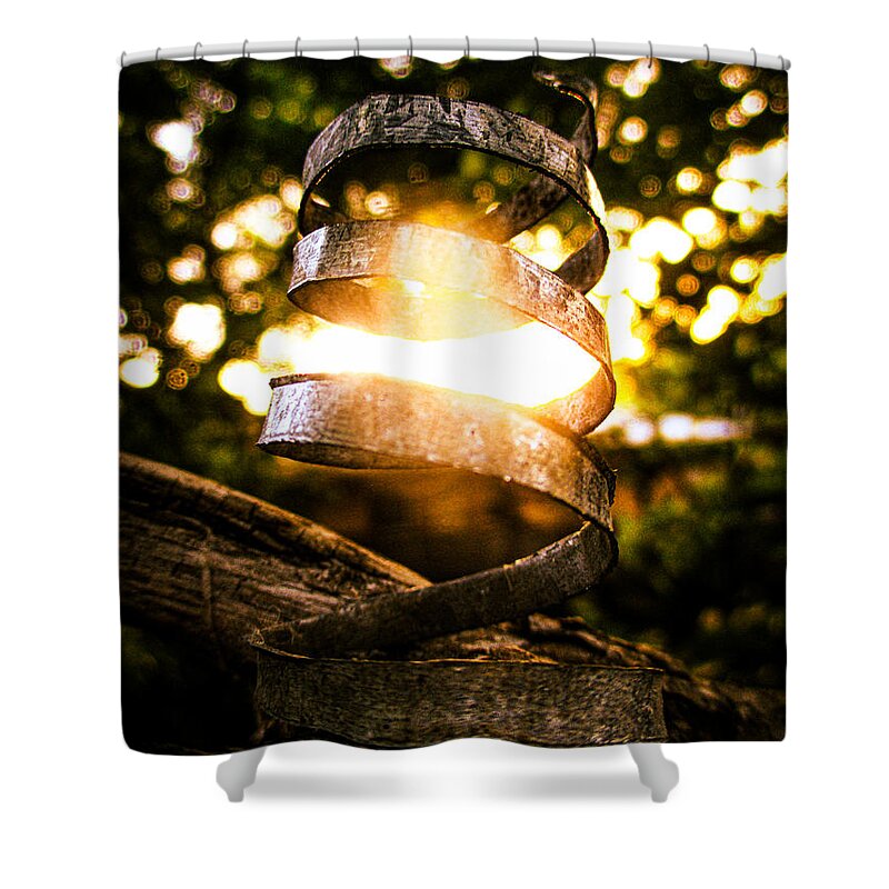 Sunset Shower Curtain featuring the photograph Twisty Metal Sunset by W Craig Photography