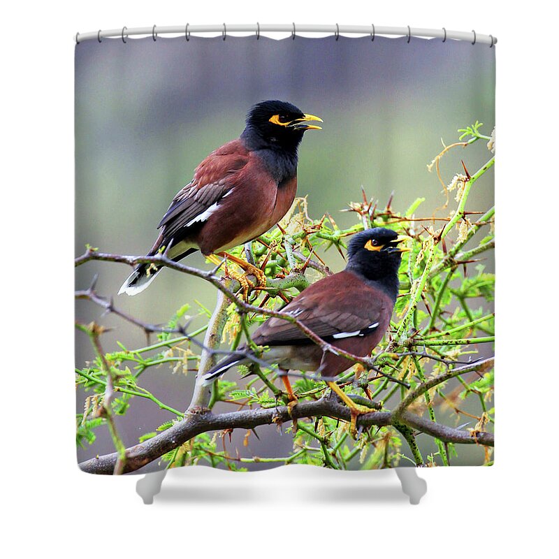 Jan 20 16- Shower Curtain featuring the photograph Two Code Talkers by Jennifer Robin