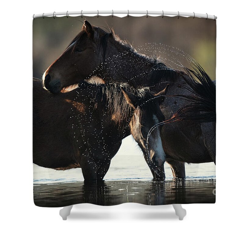 Cute Yearling Shower Curtain featuring the photograph Two Cute Horses by Shannon Hastings