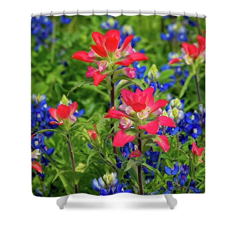 Texas Wildflowers Shower Curtain featuring the photograph Two of a Kind by Lynn Bauer