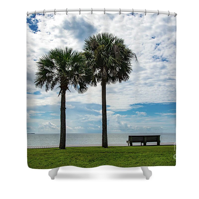 Two Shower Curtain featuring the photograph Two Palms on Pensacola Bay by Beachtown Views