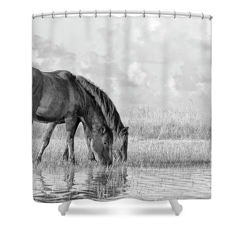 Wild Horses Of The Outer Banks Shower Curtain featuring the photograph Two Wild Horses of the Outer Banks by Bob Decker
