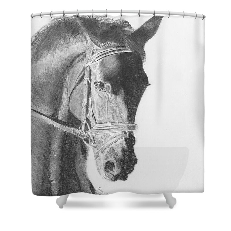 Horse Shower Curtain featuring the drawing Tyberius by Quwatha Valentine
