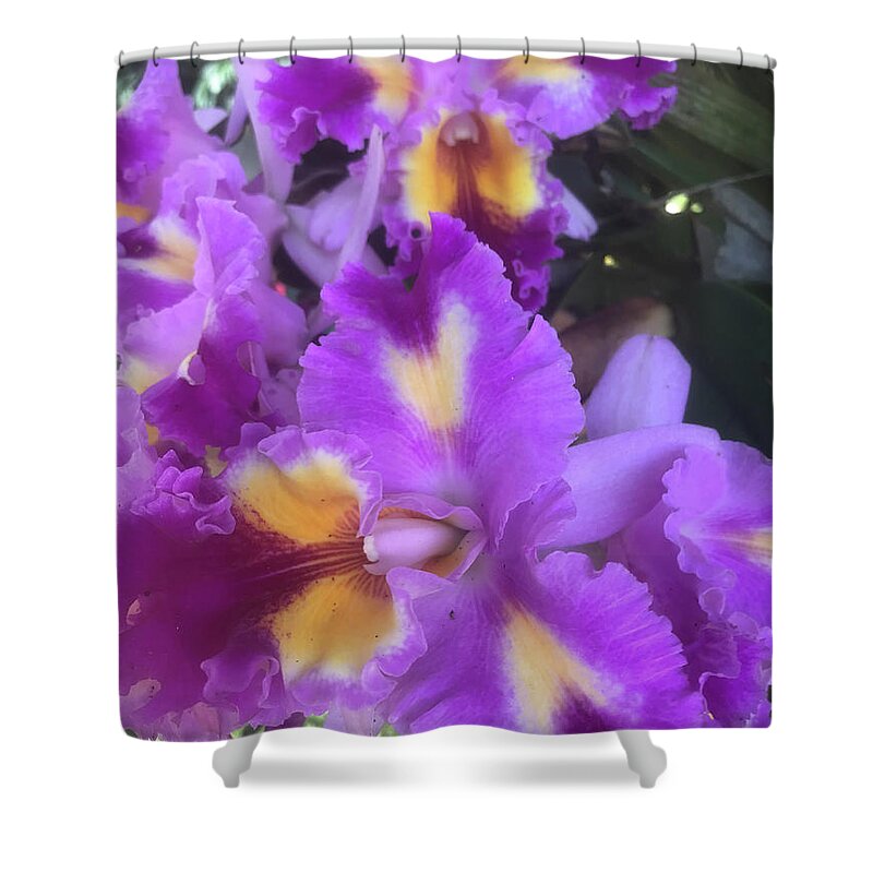 Aromatherapy Shower Curtain featuring the photograph   Ultra Orchids by Jeffrey Scrivo