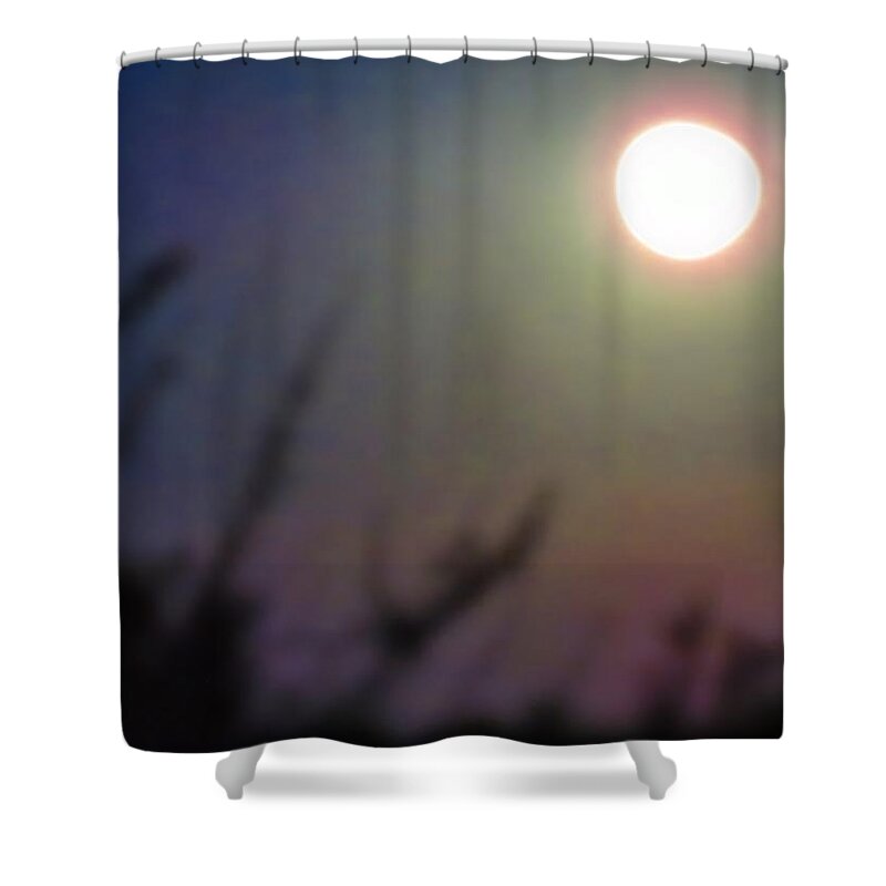 Arien Shower Curtain featuring the photograph Under a Full Moon in Aries by Judy Kennedy