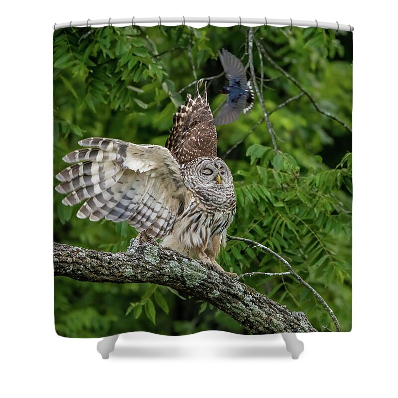 Nature Shower Curtain featuring the photograph Under Attack by Linda Shannon Morgan