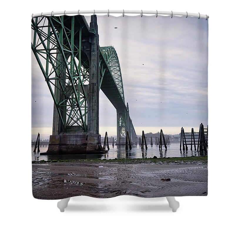 060520 Shower Curtain featuring the photograph Under Bridge early morning by Bill Posner