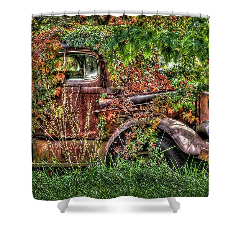 Antique Shower Curtain featuring the photograph Under Growth by Anthony M Davis