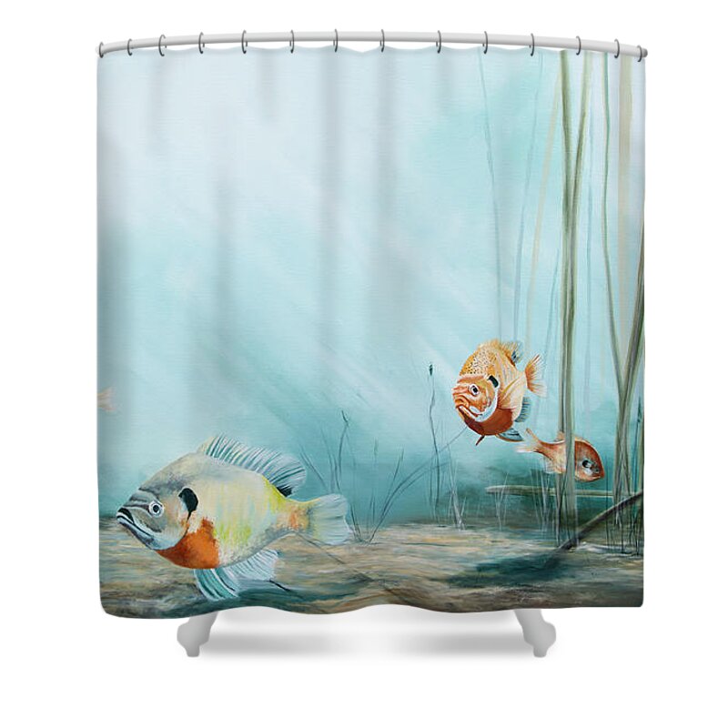 Fish Shower Curtain featuring the painting Breem by Katrina Nixon