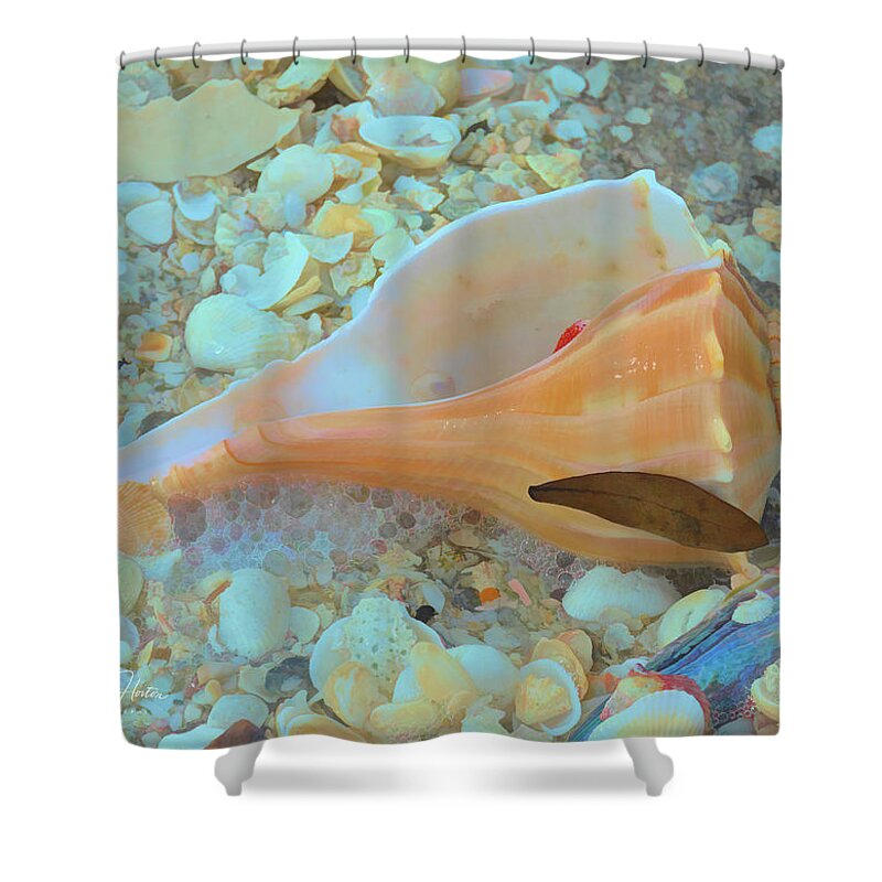 Conch Shell Shower Curtain featuring the photograph Underwater by Alison Belsan Horton