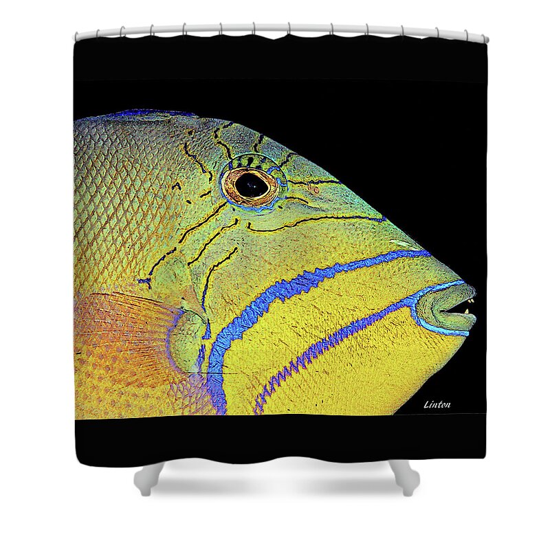 Fish Shower Curtain featuring the digital art QUEEN TRIGGERFISH cps by Larry Linton