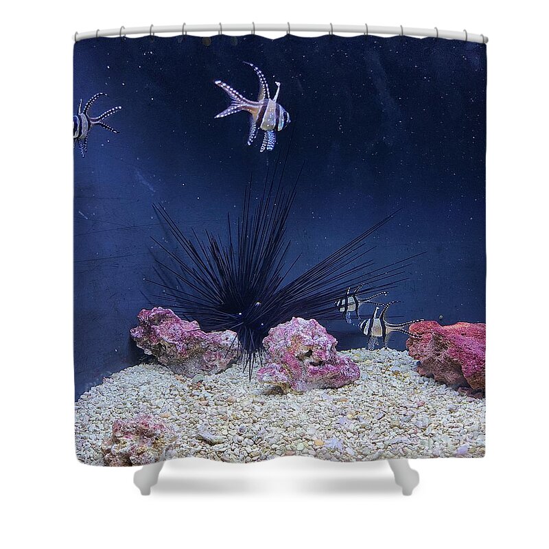 Aquarium Shower Curtain featuring the painting Underwater koosh by Elena Pratt