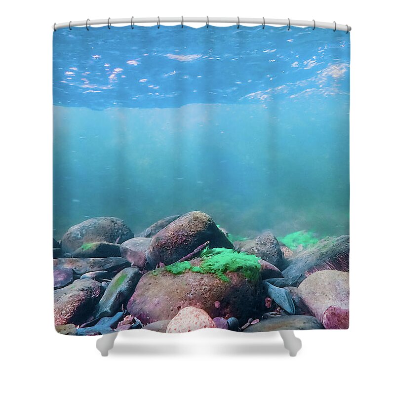 Sea Shower Curtain featuring the photograph Underwater Scene - Upper Delaware River 6 by Amelia Pearn