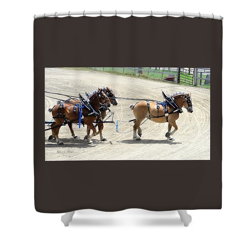 Horses Shower Curtain featuring the photograph Unicorn Class at the Draft Horse Expo by Kae Cheatham