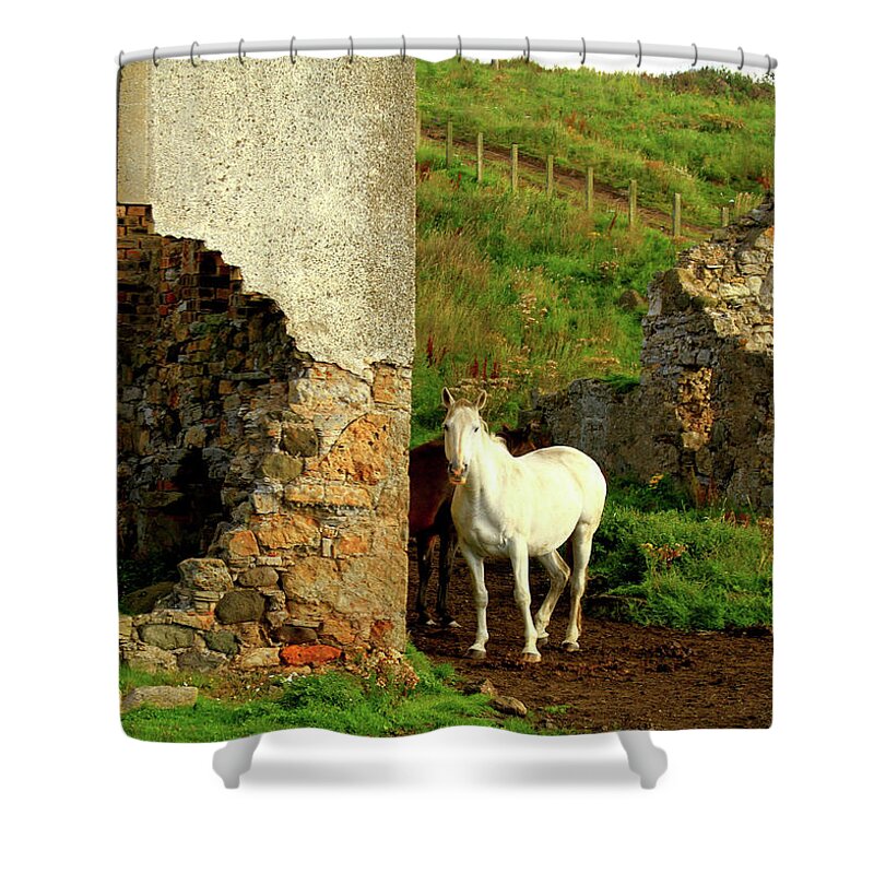 White Shower Curtain featuring the photograph Unicorn - Scotland by Gene Taylor