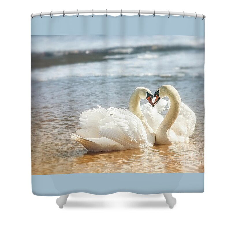 Mute Swans Shower Curtain featuring the photograph Universal Love by Mary Lou Chmura