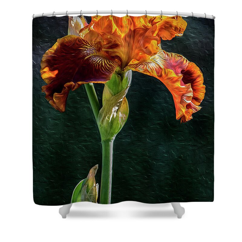 Flower Shower Curtain featuring the digital art Untitled_anc by Paul Vitko