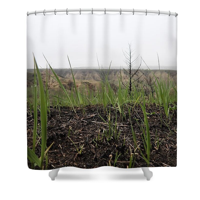 Fire Shower Curtain featuring the photograph Up From The Ashes by Amanda R Wright