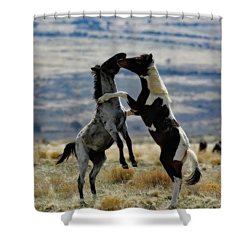 Utah Shower Curtain featuring the photograph Up In Arms, Onaqui Wild Horse by Jennifer Robin