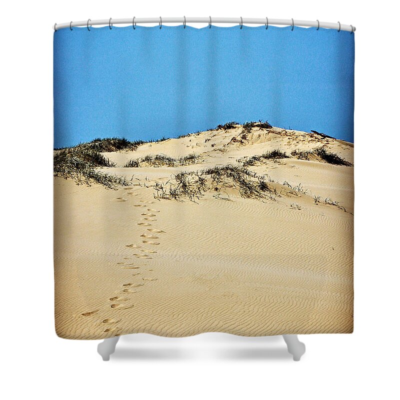 Dune Shower Curtain featuring the photograph Up the Dune by Sarah Lilja