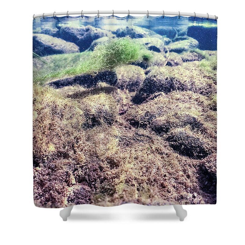 Delaware River Shower Curtain featuring the photograph Upper Delaware River - Underwater Photography by Amelia Pearn