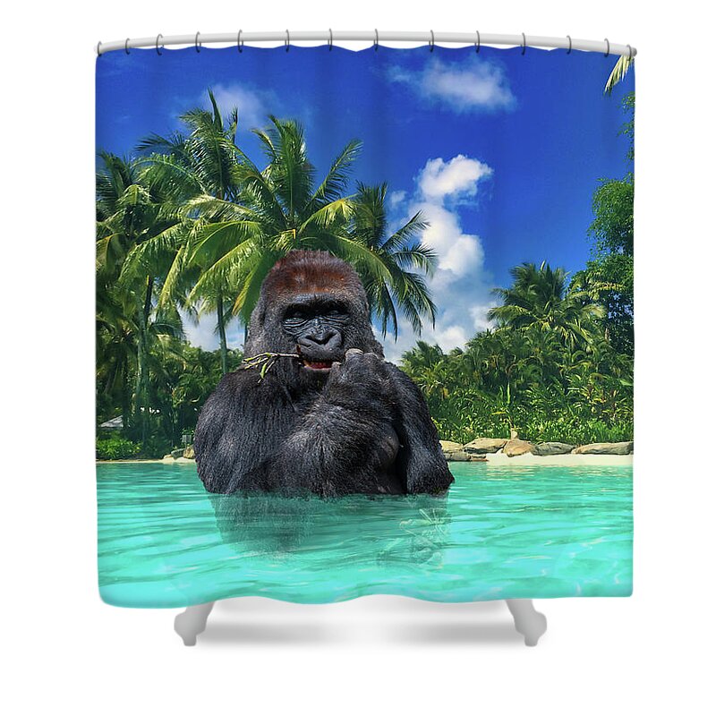 Gorilla Shower Curtain featuring the photograph Vacation by Harry Spitz