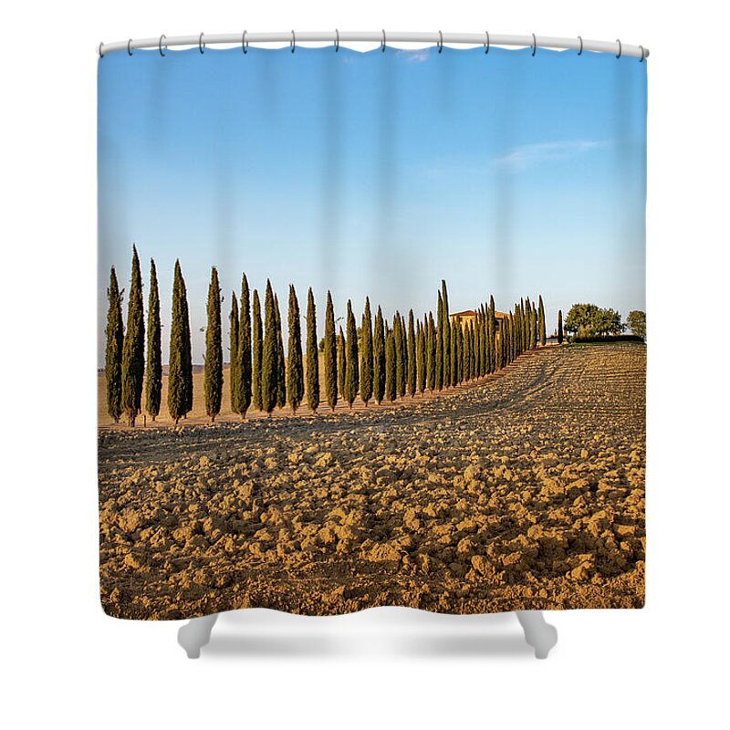 Orcia Shower Curtain featuring the pyrography Val d'Orcia, famous group of cypress trees in Tuscany, Italy by Eleni Kouri