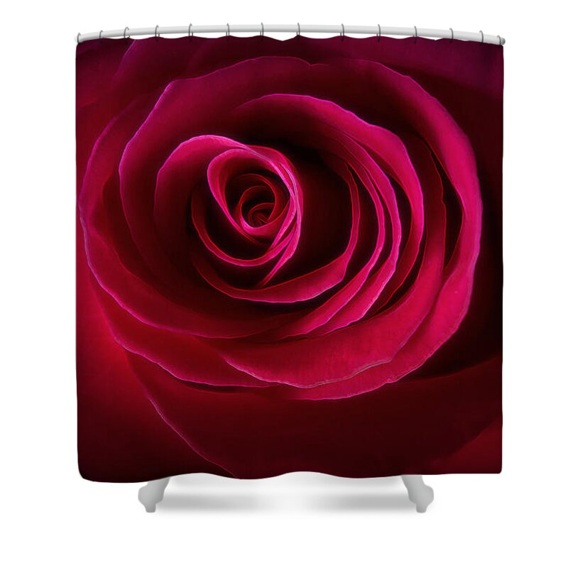 Rose Shower Curtain featuring the photograph Velour Scarlet Rose by Bill and Linda Tiepelman