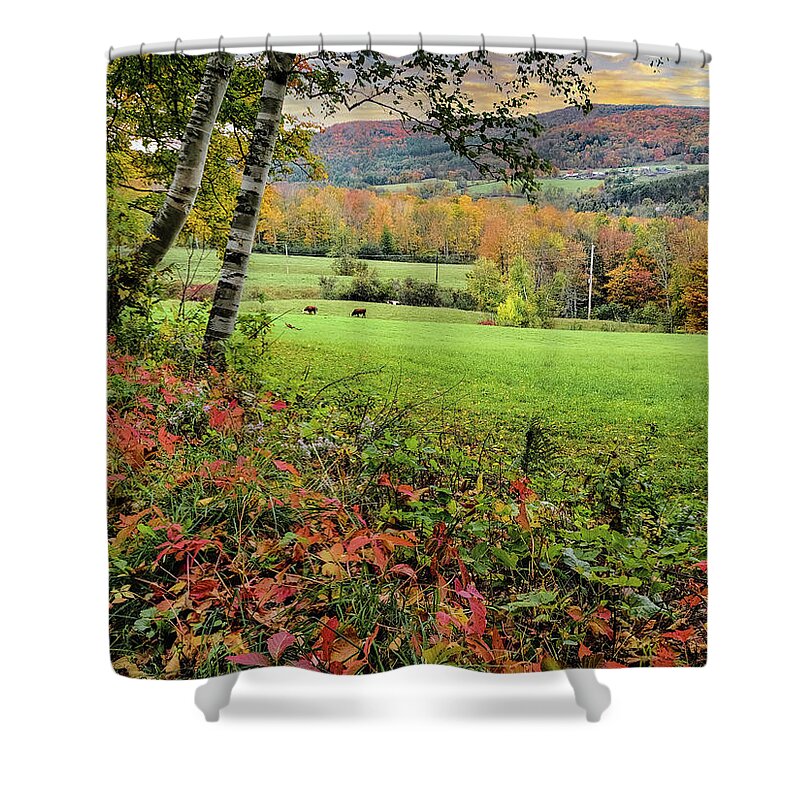 1902 Maple Grove Farm Shower Curtain featuring the photograph Vermont Morning on the Farm by Jeff Folger