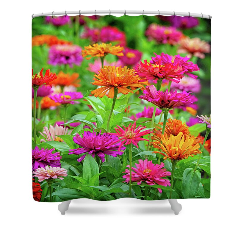 Texas Gardens Shower Curtain featuring the photograph Vibrant Beauty in the Garden by Lynn Bauer