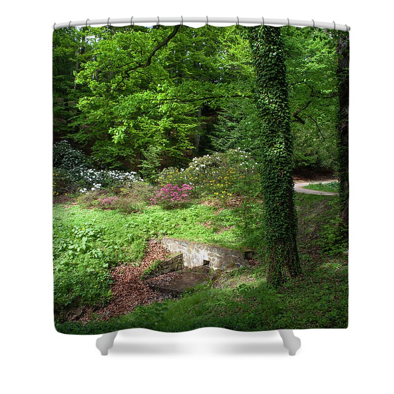 Jenny Rainbow Fine Art Photography Shower Curtain featuring the photograph Vibrant Greens of Spring by Jenny Rainbow