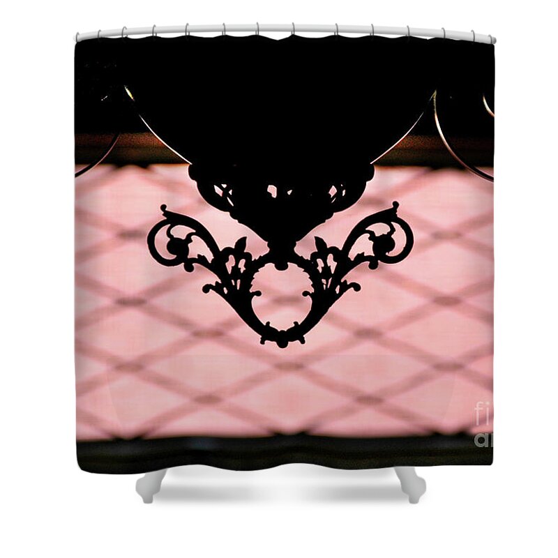 Lamp Shower Curtain featuring the photograph Victorian Secret by Dan Holm