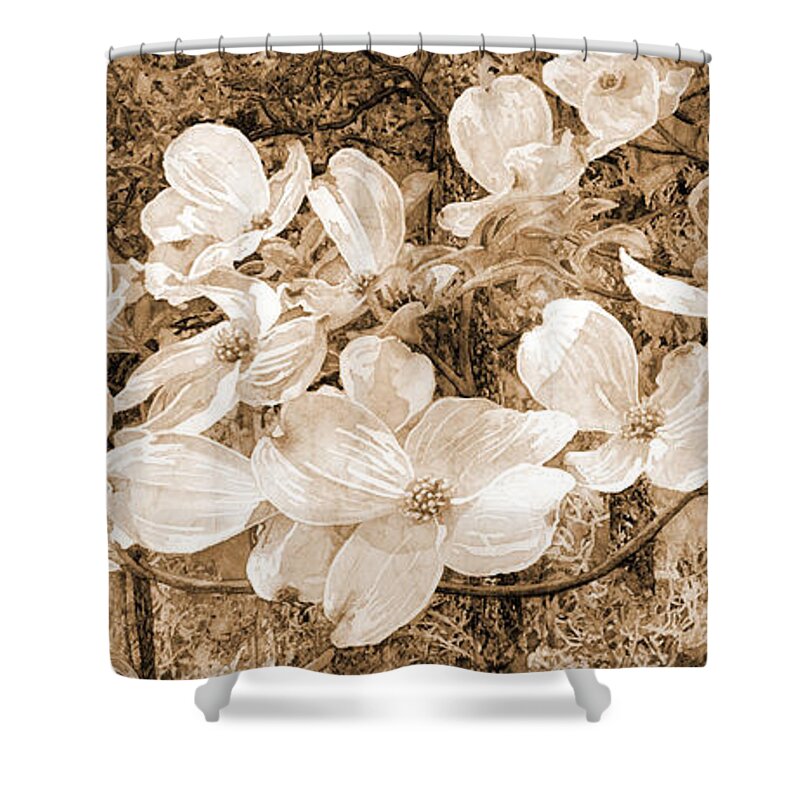 Texas Park Shower Curtain featuring the painting View Beyond Dogwood-flowering dogwood sepia tone by Hailey E Herrera