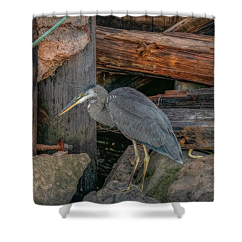  Shower Curtain featuring the photograph Vigilant Guardian by Marcy Wielfaert