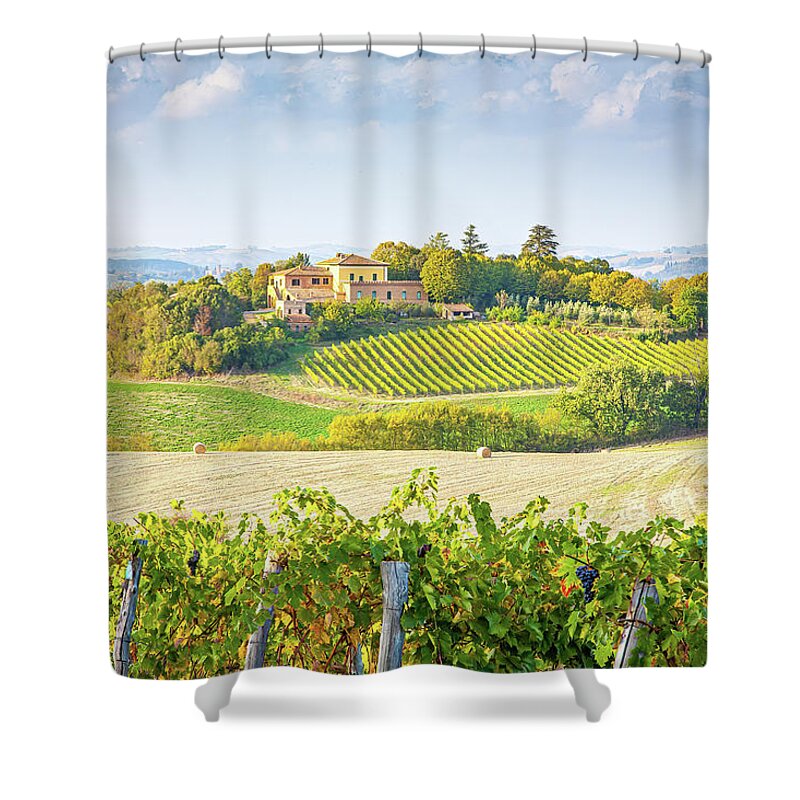 Tuscany Photography Shower Curtain featuring the photograph Vineyard in Tuscany by Marla Brown