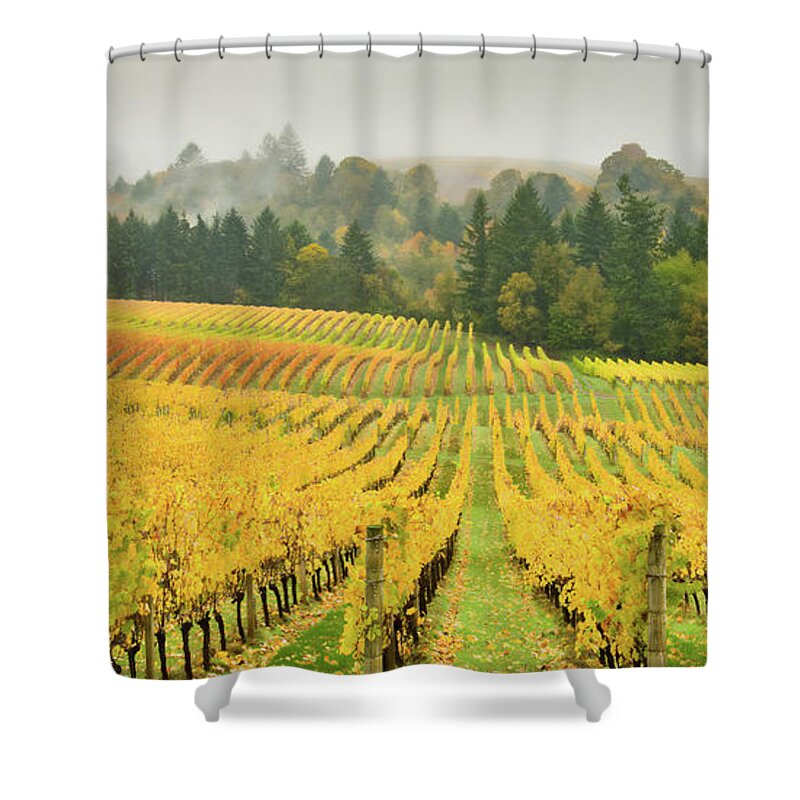 Sokol-blosser Vineyard Shower Curtain featuring the photograph Vineyard Waves by Don Schwartz