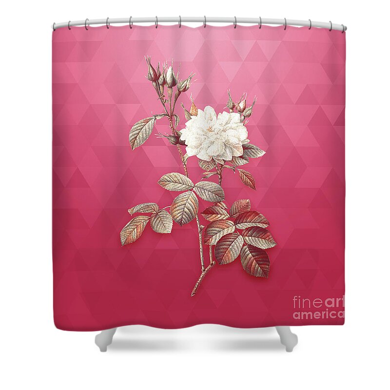 Botanical Shower Curtain featuring the mixed media Vintage Autumn Damask Rose in Gold on Viva Magenta by Holy Rock Design
