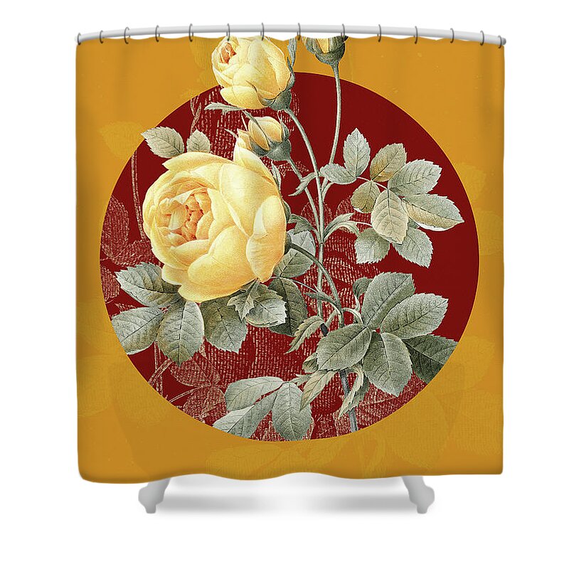 Vintage Shower Curtain featuring the painting Vintage Botanical Yellow Rose on Circle Red on Yellow by Holy Rock Design