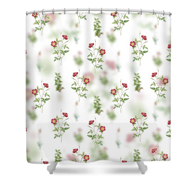Vintage Shower Curtain featuring the mixed media Vintage Indica Stelligera Rose Floral Garden Pattern on White n.2154 by Holy Rock Design