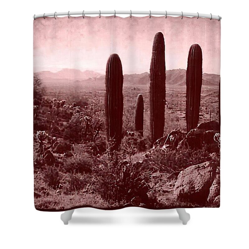 Western Landscape Shower Curtain featuring the photograph Vintage View of Table Top Mountain by Judy Kennedy