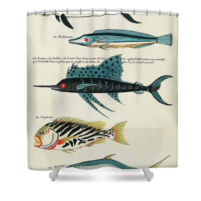 Fish Ocean Nautical Tropical Colorful Fish Shower Curtain Hooks Set of 12