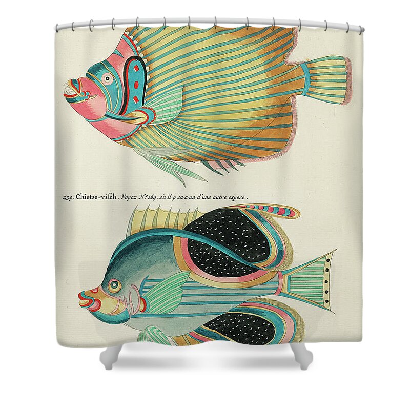Fish Shower Curtain featuring the digital art Vintage, Whimsical Fish and Marine Life Illustration by Louis Renard - Empereur du Japon, Chietse by Louis Renard