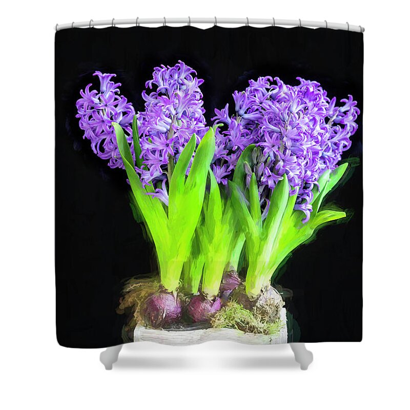 Hyacinths Shower Curtain featuring the photograph Violet Hyacinths X101 by Rich Franco