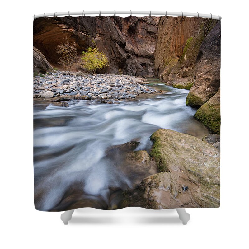Zion Shower Curtain featuring the photograph Virgin River Narrows by Wesley Aston